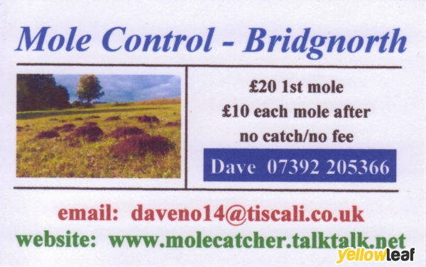 Bridgnorth Mole Catcher aka Mole Control - Bridgnorth