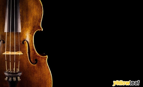 Rebecca Hall Violin and Viola Lessons