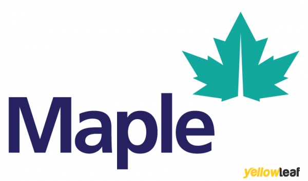 Maple Accountancy