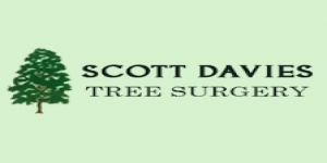 Scott Davies Tree Surgery Ltd