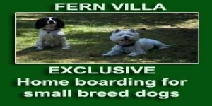 Fern Villa, small dog boarding
