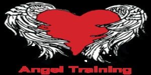 Angel Training