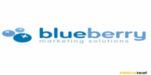 Blueberry Marketing Solutions Ltd