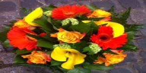 Knightsbridge Flowers