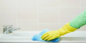 Cleaning Services Manor House