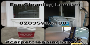 Eco Cleaning London