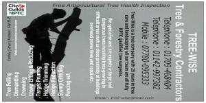 Tree Wise Tree & forestry contractors 