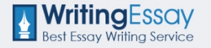 Essay Writing Services 
