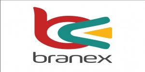Branex-Web Design Services London