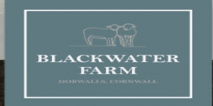 Blackwater Farm