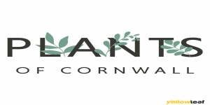 Plants of Cornwall