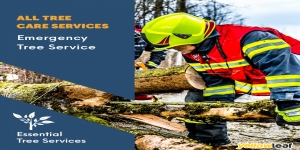 Essential tree services 