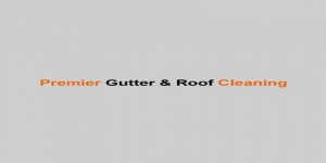 Premier Gutter And Roof Cleaning