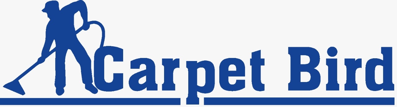 Carpet Bird Limited