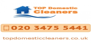 Top Domestic Cleaners London