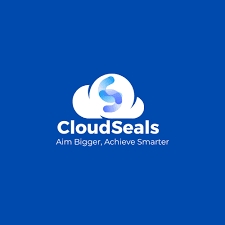 Elevate Efficiency: Embracing DevOps Excellence with Cloudseals