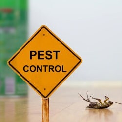 Residential Commercial Pest Control 