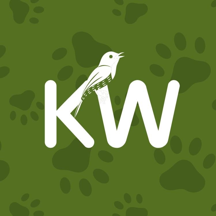 Kennedy Wild Bird Food & Pet Supplies