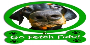 Go Fetch Fido