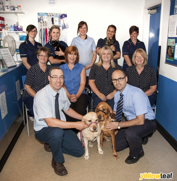 Andrew Mellor Veterinary Surgeons