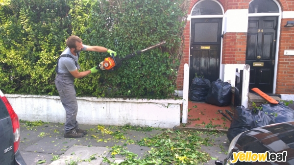 Gardening Services Gravesend