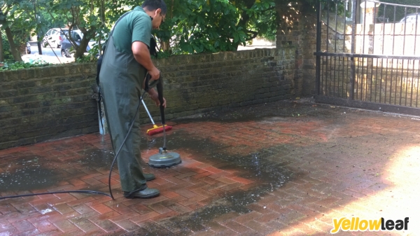 Gardening Services Dorking