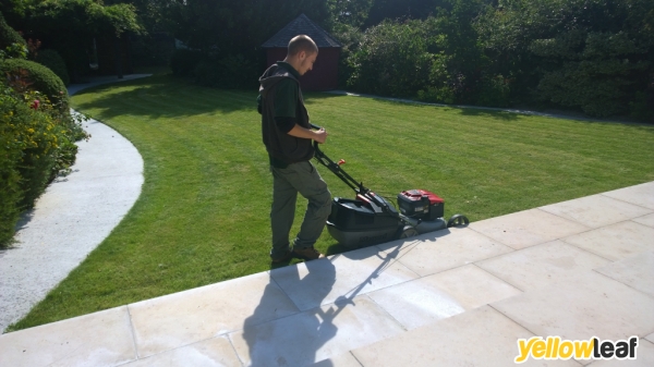 Gardening Services Vigo Village