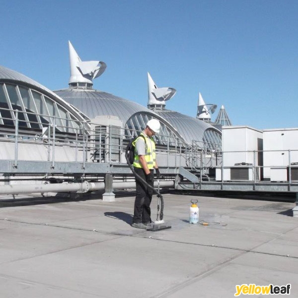 Thornton Roof Leak Detection