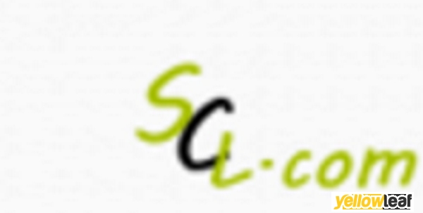 Scrap Cars Legally
