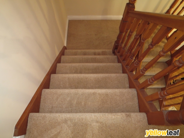 Carpet Cleaning Hendon
