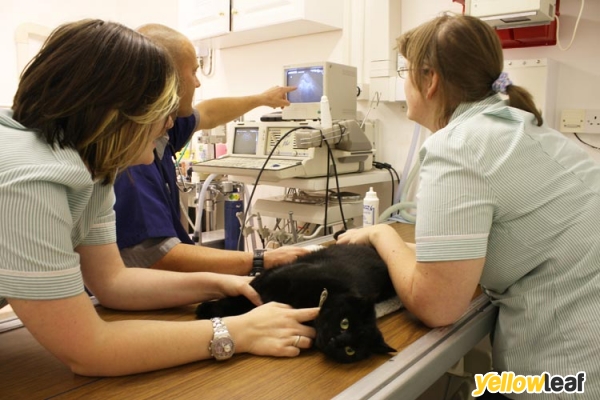 Alphapet Veterinary Clinic