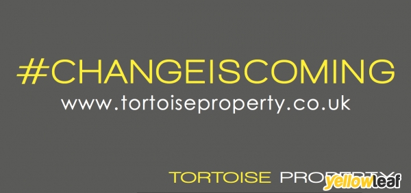 Tortoise Property