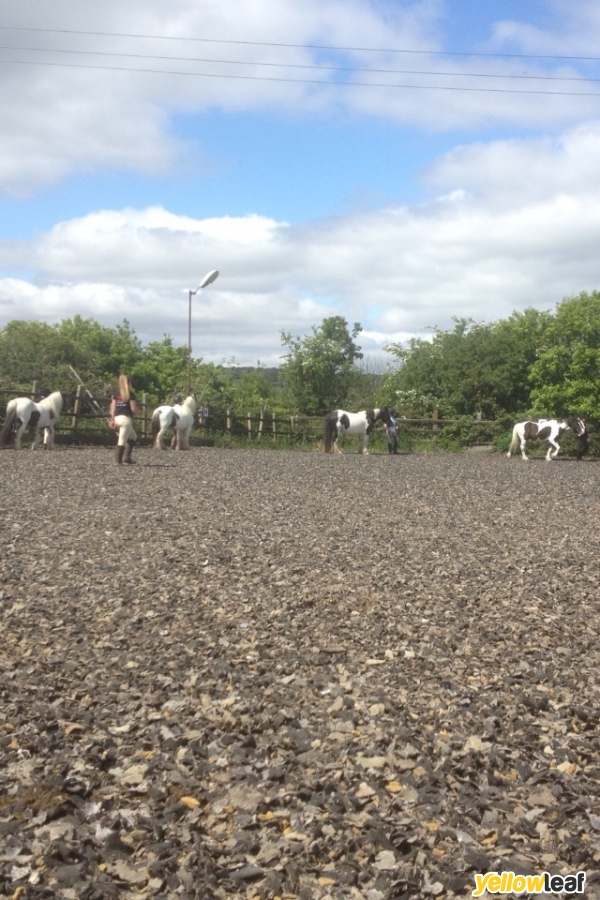 Rmc Equestrian Centre