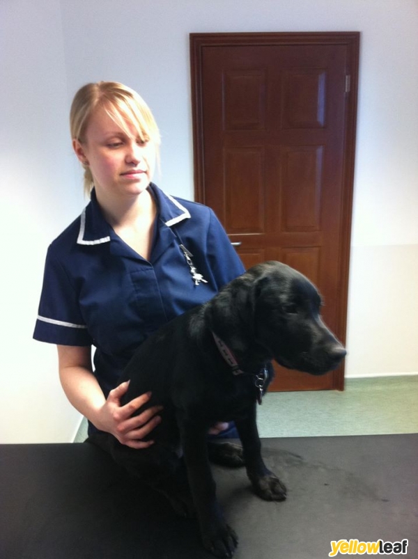 Adelaide Veterinary Centre