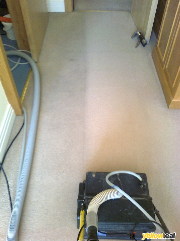 A1 Rex Carpet Cleaning Services