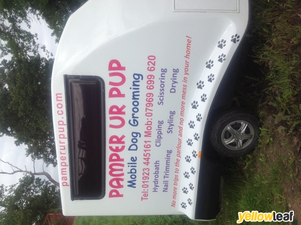 Dog Grooming in Rickmansworth, Pamper Ur Pup Reviews