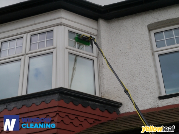 Professional Window Services