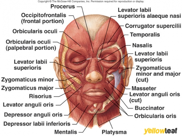 Cotswold And County Aesthetics