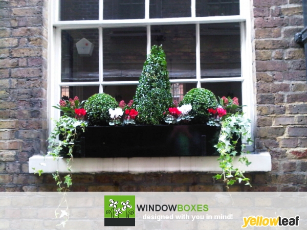 Window Boxes Company