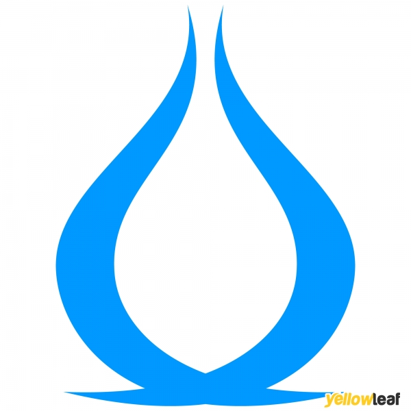 Deep oven cleaning by Oven Cleanic