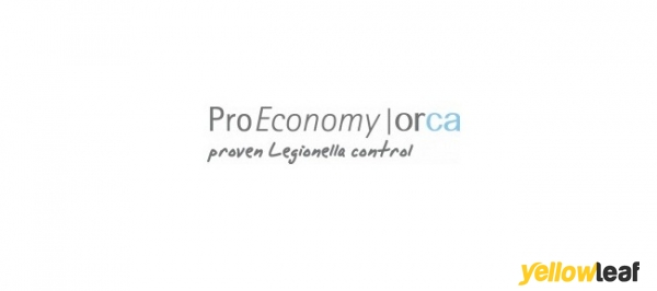 ProEconomy