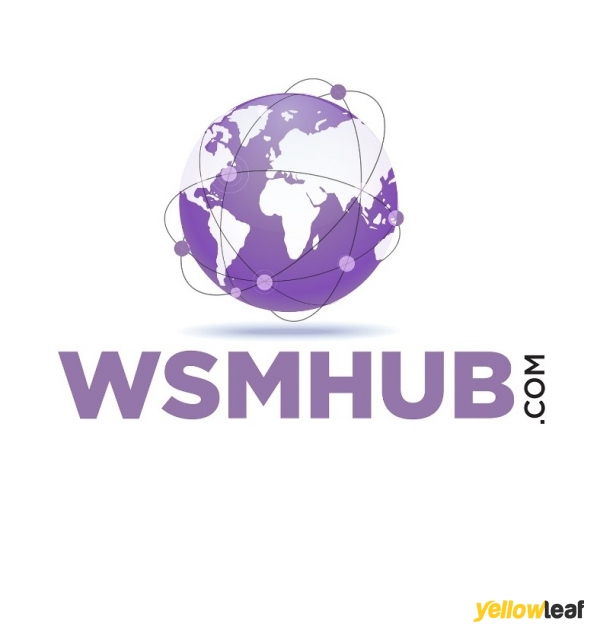 wsmhub.com