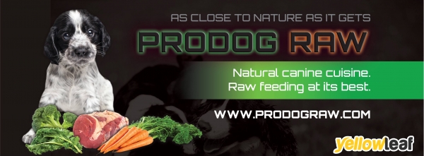 ProDog Raw