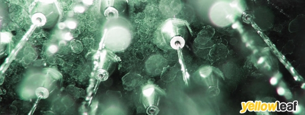 Legionella Control