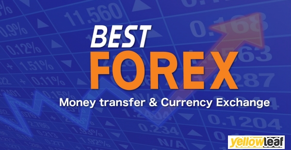 Best Forex UK