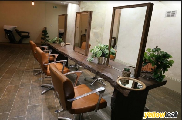 Cult and Bloom Salon