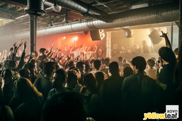 XOYO