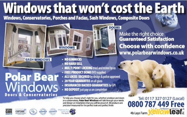 Polar Bear Windows