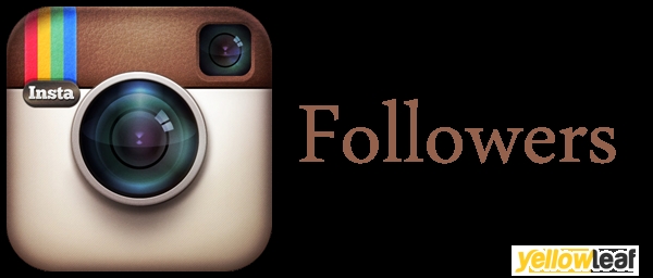 Buy Instagram Followers UK