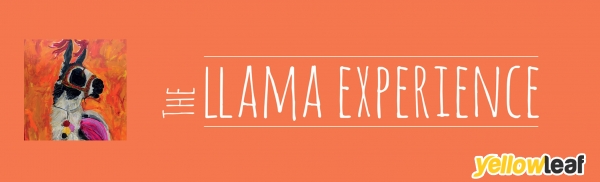 The LLama Experience